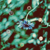 Turn Back Time - Single - Trevor Poole