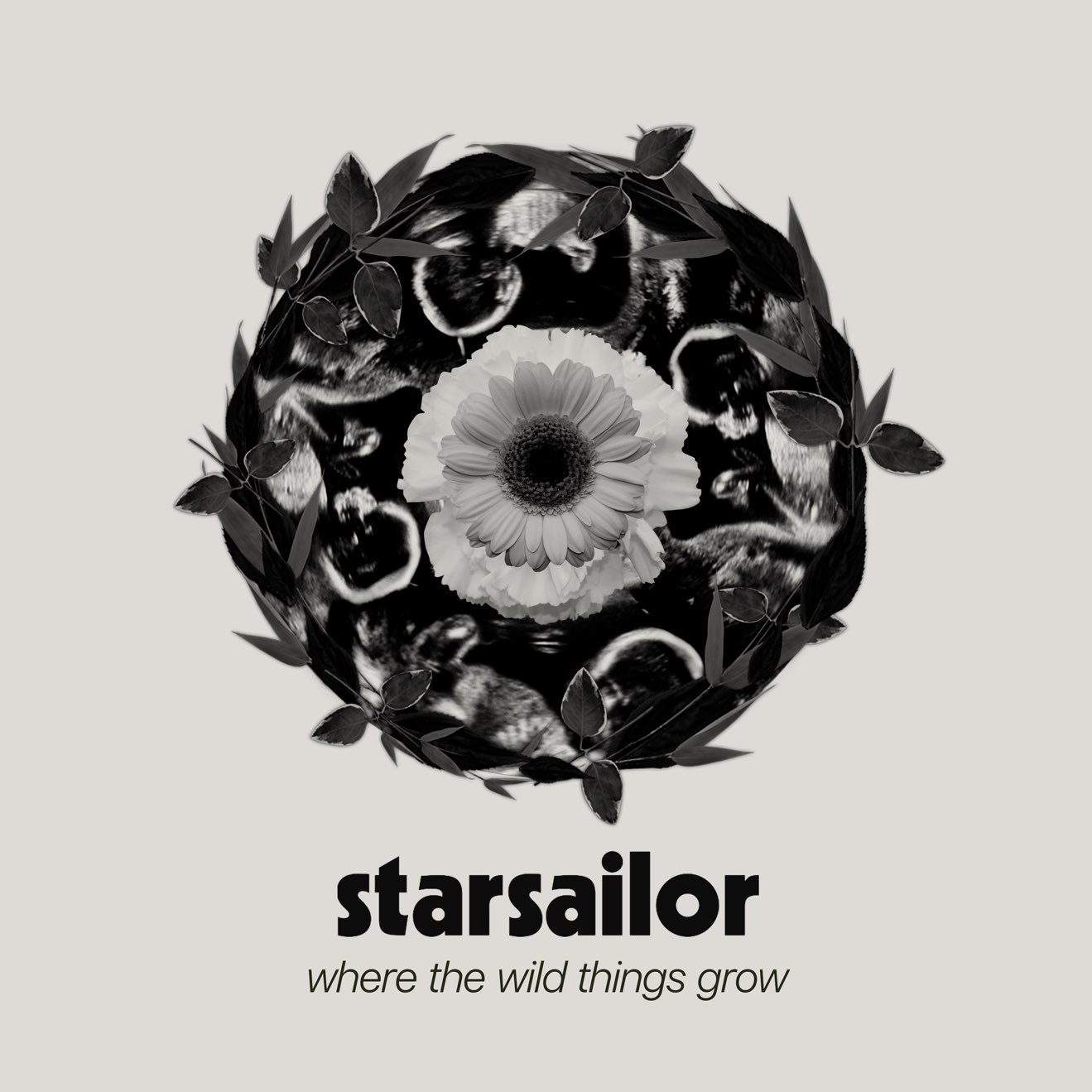 Starsailor – Where the Wild Things Grow (2024) [iTunes Match M4A]