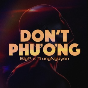 Don’t Phương - Single