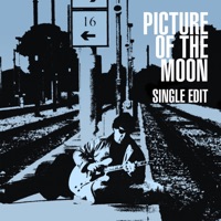 Picture of the Moon (Single Edit) - Single - Gary Moore