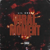 Viral Momment - Single - Lil Kree