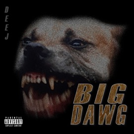 House a Home Interlude, Pt. 2 Deej