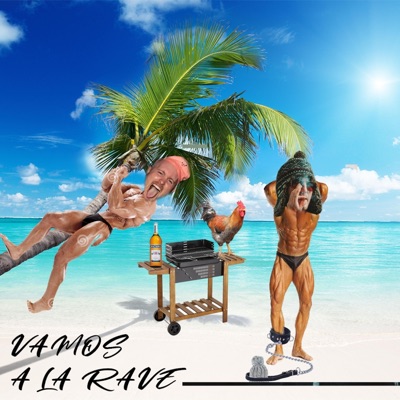 Vamos a la Rave (feat. Venom Hardtek) - Single