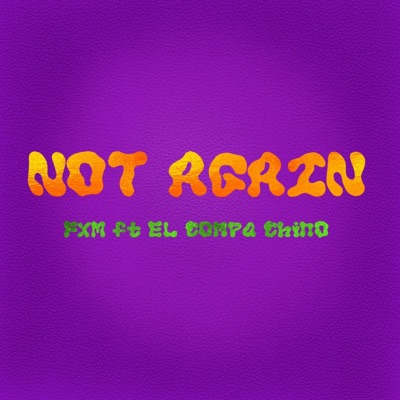Not Again (feat. EL COMPA CHINO) - Single