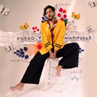 Fuego y Mariposas - Single - Fer Soberón
