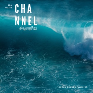 Ocean Sounds Playlist