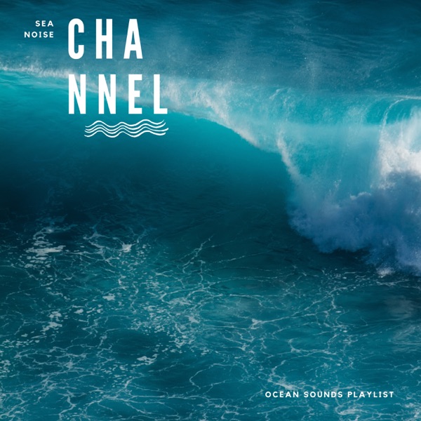 Ocean Sounds Playlist