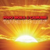 After The Rain (Fedo Radio) artwork