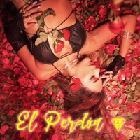 el perdón - Single - Tefi