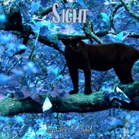 Sight - Single - Square 2 God