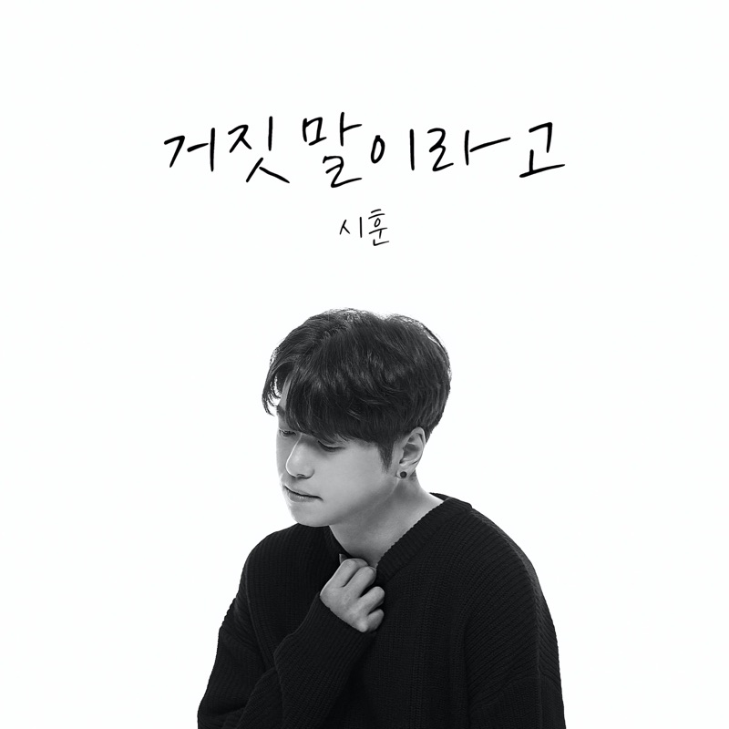 It's a lie - Single