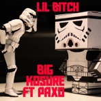 LiL Bitch (feat. P@xzo) - Single