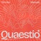 Quaestio (I've Got a Question Babe) artwork