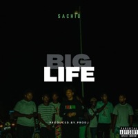 BIG LIFE (feat. ProDJ) - Single - Sachio