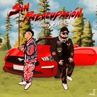 Sin Preocupación (feat. Baukan) - Single - Patooods