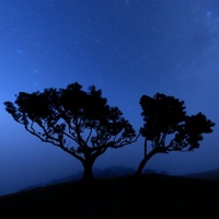 Duality - Single - Sappheiros