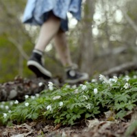 Tanssi Mun Kaa (feat. Organ!k) - Single - Sirpa