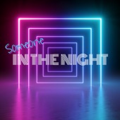 Someone In the Night artwork