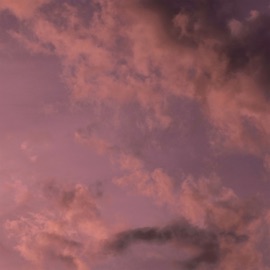 Blu N Blu Toothpaste