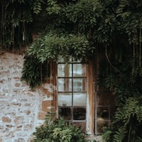 Greenery - Single - Lofi.Trabbey