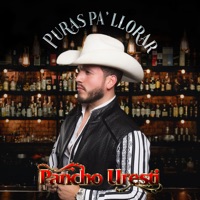 Puras Pa’ Llorar - Pancho Uresti