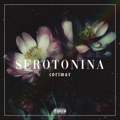 Serotonina, Pt. 3 - Single