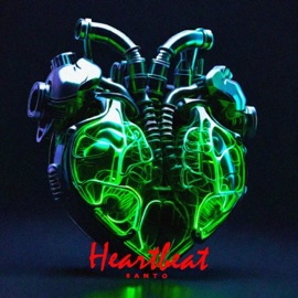 Feed Your Soul SANTO