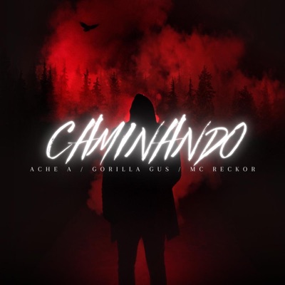 CAMINANDO (feat. RILLA G & ACHE A) - Single