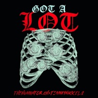Got a Lot - Single - The Human Torch & Tommy Nikkels