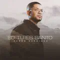 Só Tu És Santo (Ao Vivo)
