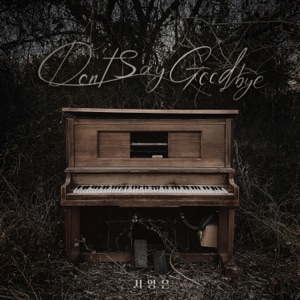 Don't Say Goodbye - Single