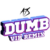 Dumb (VIP Remix) artwork