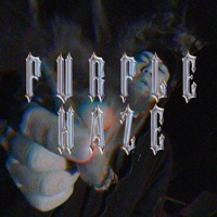 Purple Haze - Single - Bulldogg
