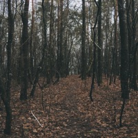 Lyubov - Single - Eassymj