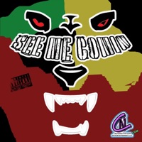 See Me Comin - Single - Don Diesle