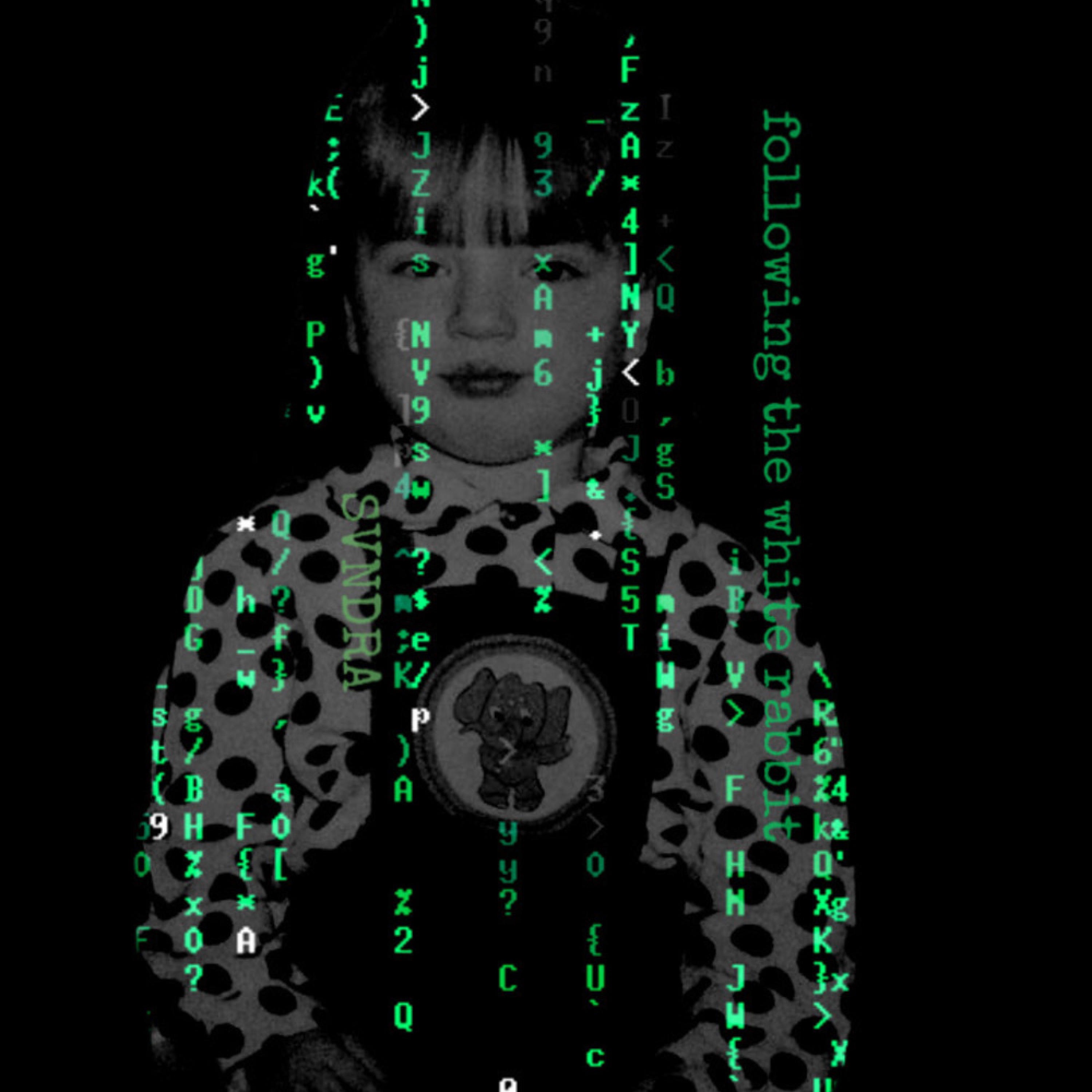 Following the White Rabbit