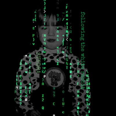 Following the White Rabbit