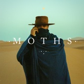 Moths artwork