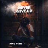 Never Give Up artwork