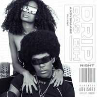 Drip das Bih - Night - Single - Andy\&Raabe & DJ KAY