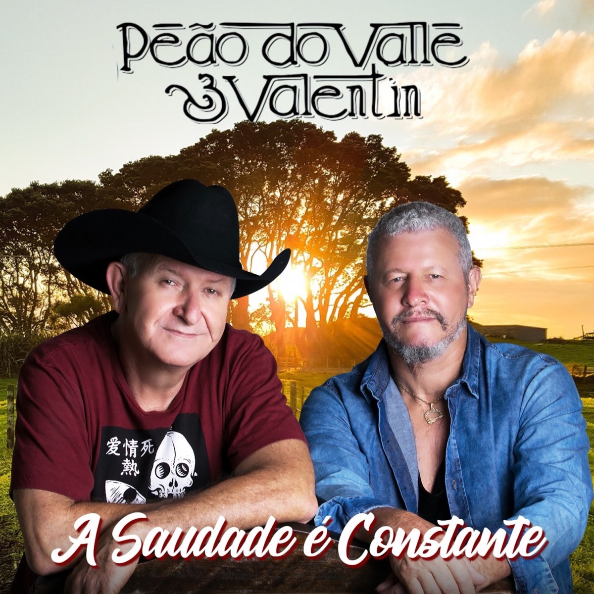 Peão de Cristo - Album by Peão do Valle & Valentin - Apple Music