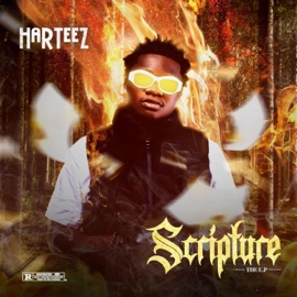 Gat You (feat. Bella Shmurda) Harteez