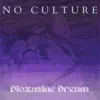 No Culture - Visual Snow