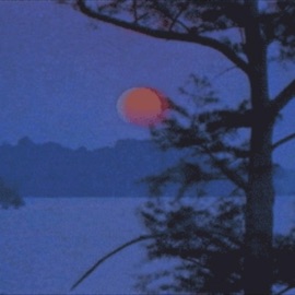 Lost (feat. Eric North) $inikill