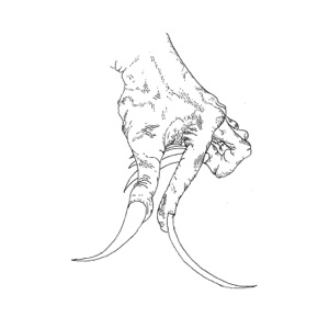 Odd Hooks - EP