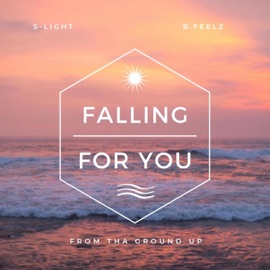 Falling For You (feat. B.Feelz) S-Light