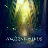 Ancient Winds - Eric Heitmann