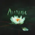 Лилии