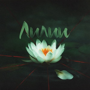 Лилии - Single