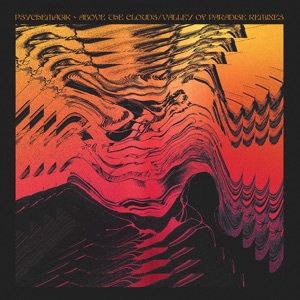 Above the Clouds / Valley of Paradise (Remixes) [feat. Warehouse Preservation Society & Bushwacka!] - Single